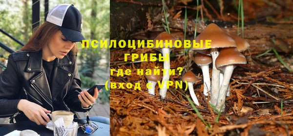 скорость Семилуки
