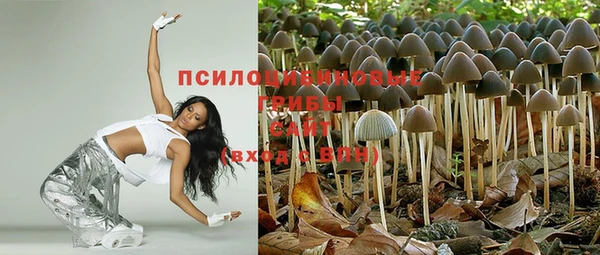 дурь Семёнов