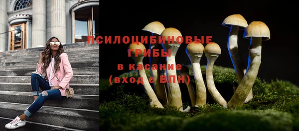 дурь Семёнов