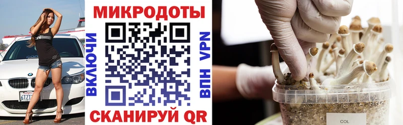 mega ссылки  Талдом  Псилоцибиновые грибы мухоморы 